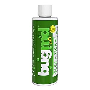 BugMD Flea and Tick Concentrate 4 oz Essential Oil Based Formula Controls Fleas Ticks Mites in Dogs Cats and Other Furred Animals Spray on Pet Beds Kennels