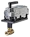 Siemens 171M-10316 1" 2W 63CV BALL Valve+120V 2P SR NO