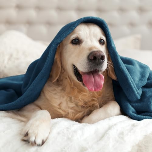 Image of BEDELITE Fleece Blanket Twin Size Mineral Blue Throw Blankets for Couch & Bed, Luxury Plush Cozy Fuzzy Blanket 60x80 inches, Super Soft Warm Lightweight Throw Blanket for Travel Camping