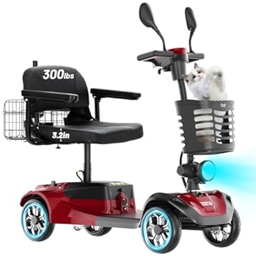 portable foldable electric scooter