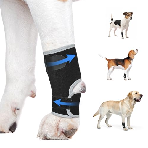 Dog Front Leg Brace - Hock Joint Compression Wrap Providing Stability for Dogs for ACL , Arthritis, Joint Discomfort Aid in Wound Care and Recovery - Dog Wrist BracePreventing Injuries, Sprains (XL)