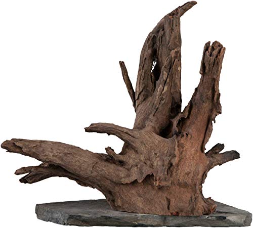 sera Scaper Wood L 30 - 35 cm - Kompaktes Wurzelholz auf Schieferplatte in zwei Größen