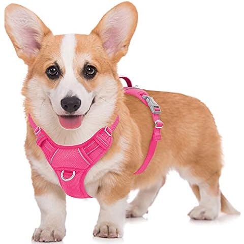 BARKBAY Dog Harness Cover