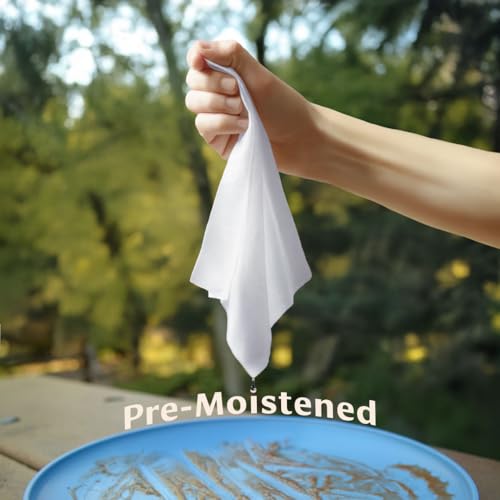 Image of Dish Wipes | A Soap-and-Water Alternative