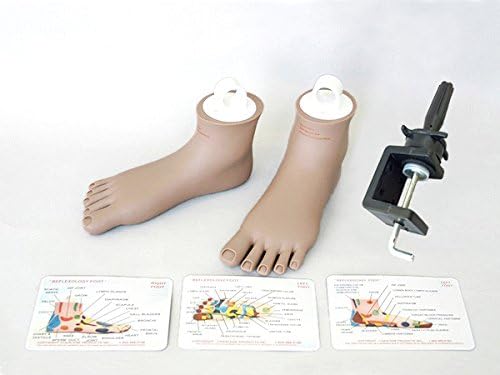 Reflexology Feet Tools Kit for Education Training Practicing by Charlene® (Tan Plain)