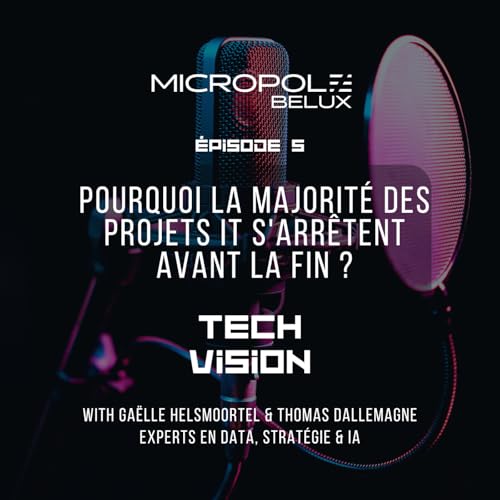&Eacute;pisode 6: Pourquoi la majorit&eacute; des projets IT s'arr&ecirc;tent avant la fin ?