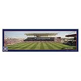 MLS Chicago Fire Panoramic Wood Sign, Large/9 x 30-Inch, White