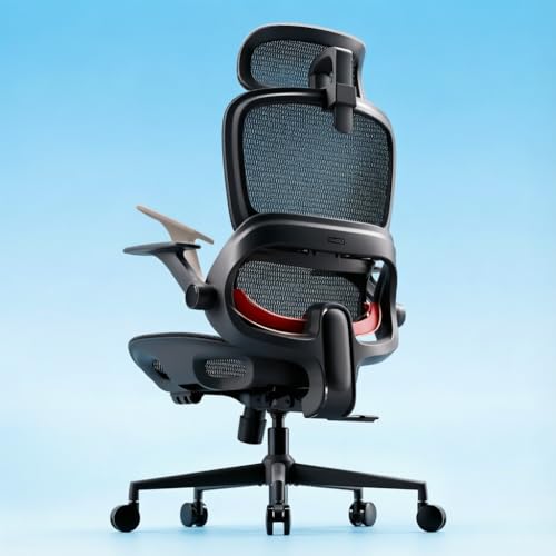 SIHOO US SIHOO B100 Mesh Office Chair, Comfy Ergonomic Office Chair