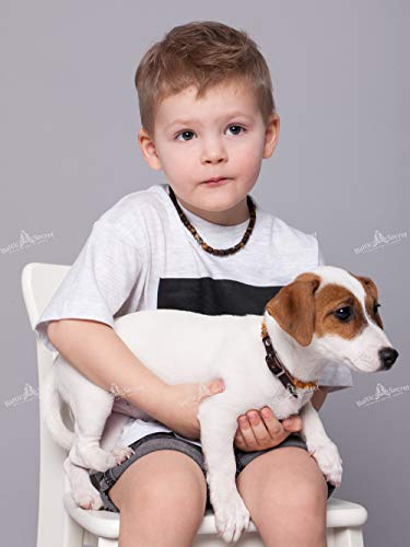 Bernsteinkette Hund mit EM Keramik Pipes - Effektive MIKROORGANISMEN - Bernsteinhalsband Hunde - Bernstein (20-25 cm)