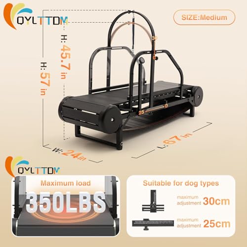 Dog Treadmill Pedometer Display