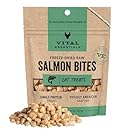 Vital Essentials Freeze Dried Cat Treats | Salmon Bites, Single Protein | Premium Quality | Grain Free, Crunchy Cat Treats, 1.1 oz Bag