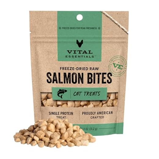 Vital Essentials Freeze Dried Cat Treats, Salmon Bites, 1.1 oz Bag