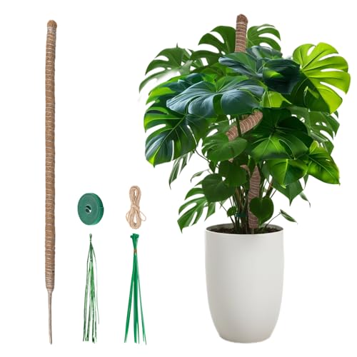 Mcbazel 120cm Tutor para Plantas Monstera,Ø 4cm Extra Grueso Flexible Soporte para Monstera,Estaca de Musgo de Coco para Planta Trepadoras Grandes,Hecha a Mano con Accesorios para Plantas de Interior