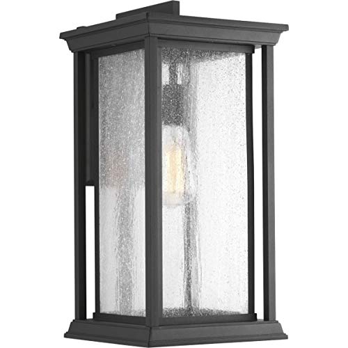 Progress Lighting P5613-31 Endicott Outdoor, Black