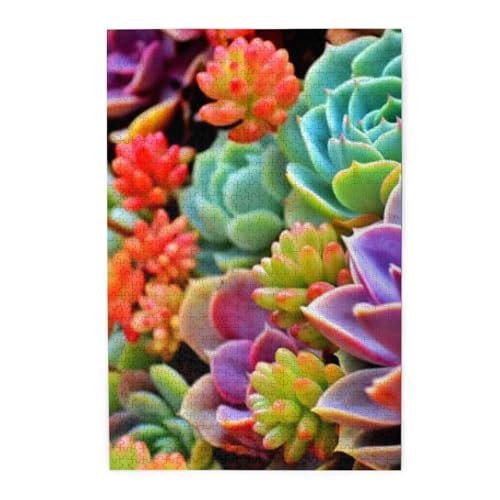美しい多肉植物0 1000ピース ジグソーパズル 大人向け難しい 破片なし カチっとハマる 誕生日 おしゃれ インテリア ギフトハウス (75×50cm)