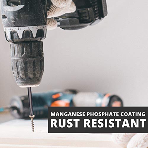 10-Piece Impact Rated 3" Security Torx Bit Set | Temper Proof, Advanced Heat Treatment, Magnetized (S2 Steel W/Mnpo Coating, 3") #TOP4