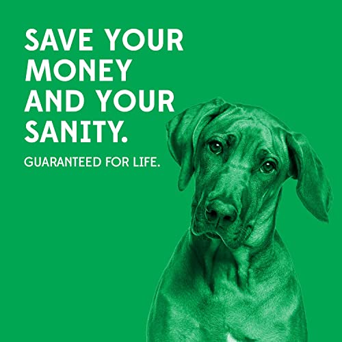 Goughnuts — Dog Toys For Aggressive Chewers | Virtually Indestructible Dog Toy Stick For Small Breeds | Heavy Duty Dog Toy | Green #TOP5