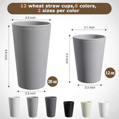 HEYCOME Set of 12 Wheat Straw Cups, 6 Pcs 20 oz & 6 Pcs 12 oz Unbreakable Drinking Cups, Reusable Plastic Cups Sets, Water Glasses Tumblers, Microwave & Dishwasher Safe, Bpa Free, 6 Colors - 1