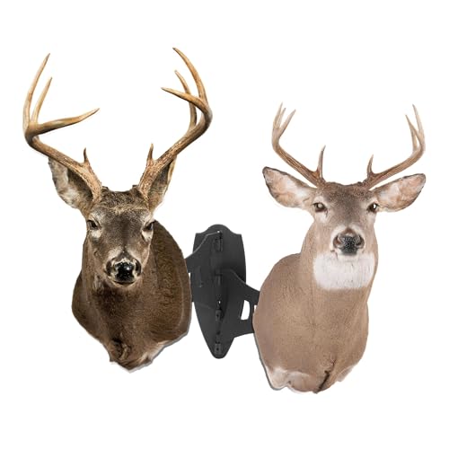 KUAFU Trophy Mount Bone Bracket Small/Medium Size Dual Shoulder Mount with 8-inch Swing Arm Skull Hanging Display Stand Powder Coated Steel