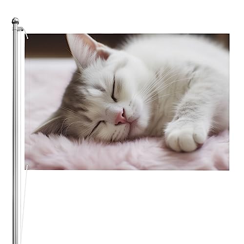 Drapeau chat endormi double face le cadeau amusant idéal pour amoureux des chats