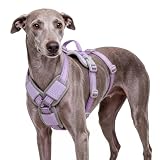 ThinkPet Flexfit 3-Strap Escape Proof Dog Harness, No Pull Front Clip 2-in-1 Vest with Control Handle, 360° Reflective Breathable Adjustable Harness for Greyhound Whippet Vizsla, Large, Purple