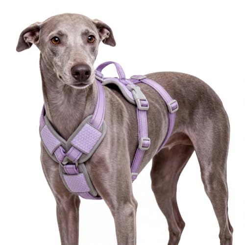 ThinkPet Flexfit 3-Strap Escape Proof Dog Harness, No Pull