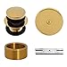 Westbrass Tip Toe Universal Tub Trim with One-Hole Faceplate, Polished Brass, D931K-01