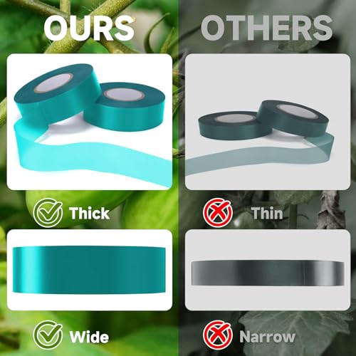 Easytle Stretch Tie Tape Roll, Total 2 Rolls 0.5“ x 150 Ft & 1\" x 150ft Green Plant Garden Tie Tape Reusable Thick Sturdy Plant Ties Ribbon Garden Vinyl Stake for Indoor Outdoor Patio Plant Use