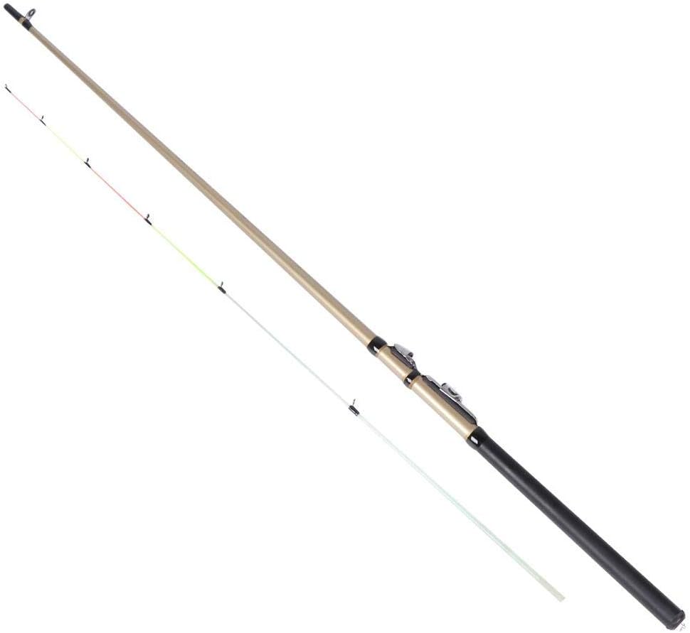 野菜 操る 唯一 釣竿 渓流 入射 パキスタン人 できる