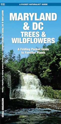 Maryland & DC Trees & Wildflowers: A Folding Pocket Guide to Familiar Plants (Nature Observation North America) Maryland & DC Trees & Wildflowers: A Folding Pocket Guide to Familiar Plants (Nature Observation North America)