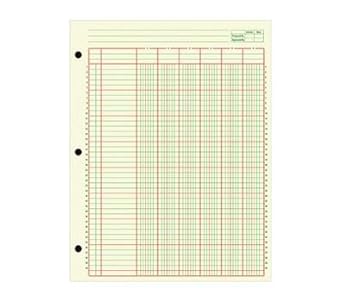Amazon.com: OfficeMax Analysis Pad, 6 Column, 2 Pack: 0011491981716 ...