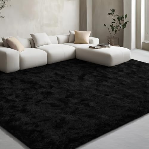 EVOIONOS Ultra Soft Area Rug for Bedroom, 4x6 Machine Washable Fluffy Shag Rug for Living Room, Plush Non Slip Carpet for Indoor Floor Bedside Nursery Kids Girls Room Dorm, Home Decor Aesthetic, Black