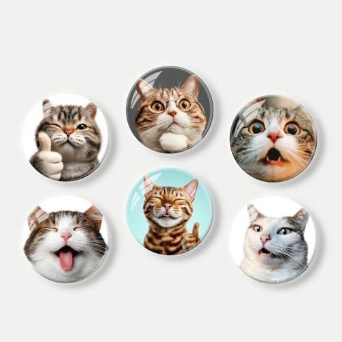Set de 6 imanes de cristal para nevera diseño gatos miniatura 1
