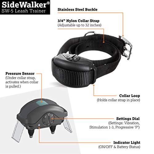 Dog leash trainer collar on display