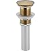 Delta 72172-CZ Push Pop-Up Less Overflow, Champagne Bronze