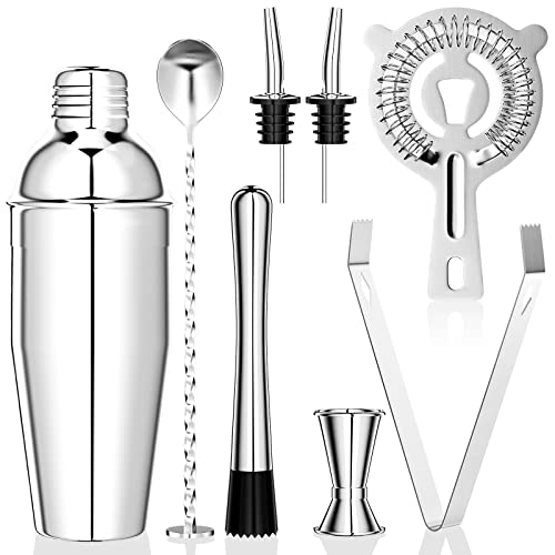 Newaner 750ML Coctelera, 8 Piezas Juego de Coctéles de Acero Inoxidable, Profesional Barman Herramientas con colador, medidor, Cuchara, vertedor, para Mezclar Bebidas, hogar, Barra, Fiestas (Plata)