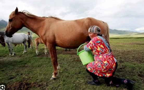 Astro-D Horse Milk,for Pooja 10 ML (vadik & Lal Kitab Remedy).-image-18