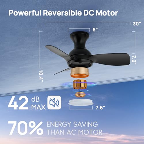 Consciot Ceiling Fan, 30 Inch Ceiling Fan With Lights Remote Control, Black Low Profile Modern Ceiling Fan, Flush Mount, Reversible Quiet DC Motor, 6 Speed, Dimmable, Kitchen Bedroom Patio Damp Rated