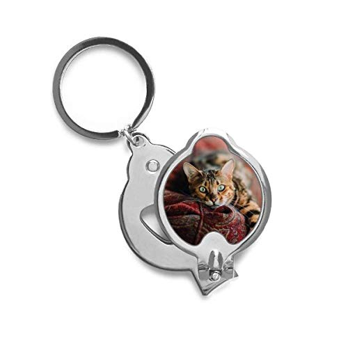 Coupe-ongles yeux de chat vert en acier avec motif animalier