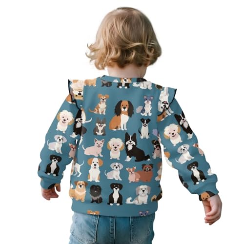 Uourmeti Cute T Shirts for Girls Long Sleeve Pullover Tops Ruffle Shoulder Fall Clothes2