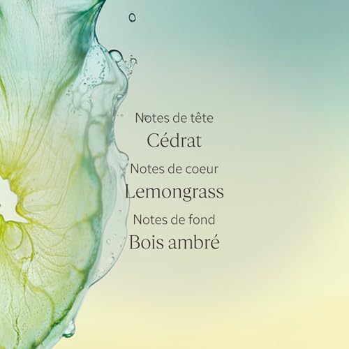 'OCCITANE Cédrat Eau de Toilette 50ml - vue 6
