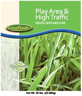 Barenbrug High Traffic Grass Seed