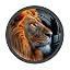 Animal Lion