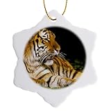 3dRose Michigan, Detroit Zoo, Tiger at Rest - US23 DGU0007 - Darrell Gulin 3 inch Snowflake Porcelain Ornament