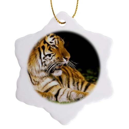 3dRose ORN_91196_1 Michigan, Detroit Zoo, Tiger at Rest - US23 DGU0007 - Darrell Gulin - Snowflake Ornament