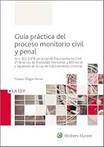 Guía práctica del proceso monitorio civil y penal