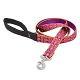 LupinePet Originals 1' Alpen Glow 6-Foot Padded Handle Leash for Medium and Larger Dogs