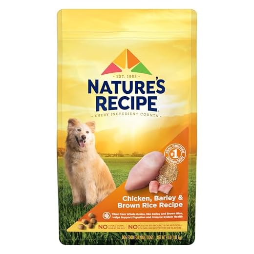 Nature's Recipe Dry Dog Food, Chicken, Barley & Brown Rice Recipe, 4 lb. Bag