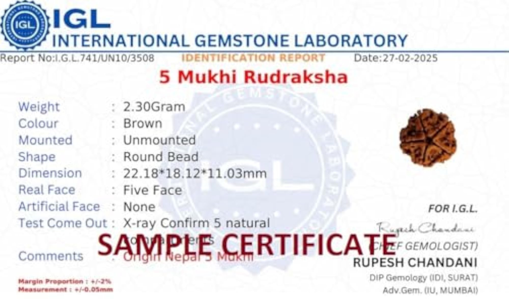 5 Mukhi Rudraksha Round Shape Certified Silver Pendant