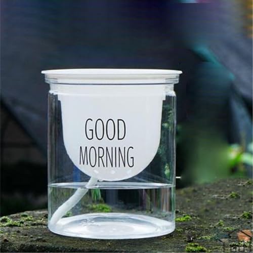 CHICIRIS Vaso da Fiori in Plastica Vaso Semi Idroponico Contenitore per Fiori Trasparente Facile da Piantare per L'home Office (Fondo tondo)